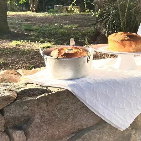 Franci 3* Santa Teresa di Gallura